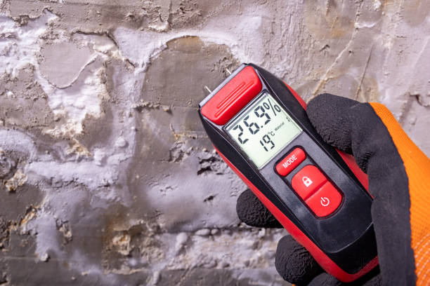 Best Mold Remediation for Specific Building Types in Taft, TX