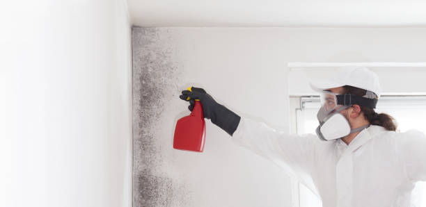 Best Bathroom Mold Remediation in Taft, TX